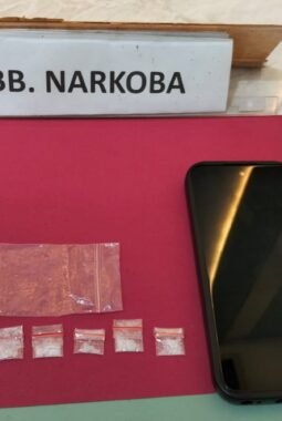 Polsek Tambusai Utara Tangkap Pengedar Narkoba, Lima Paket Sabu Diamankan