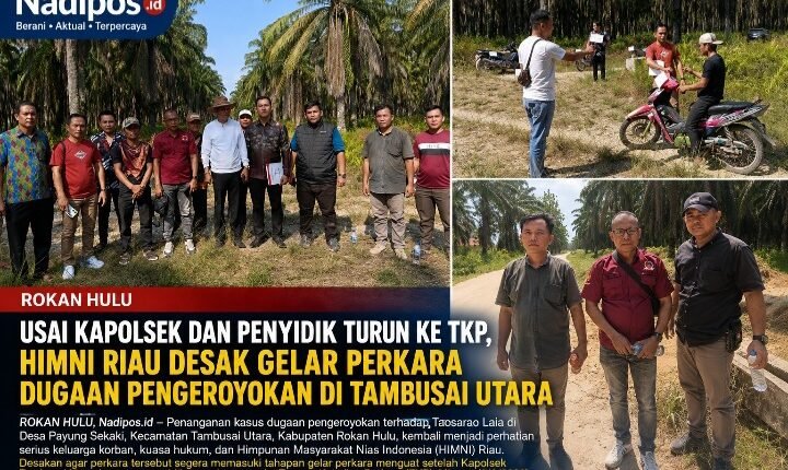 foto slider headline