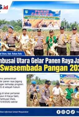 Polsek Tambusai Utara Gelar Panen Raya Jagung Kuartal III, Dukung Swasembada Pangan 2026